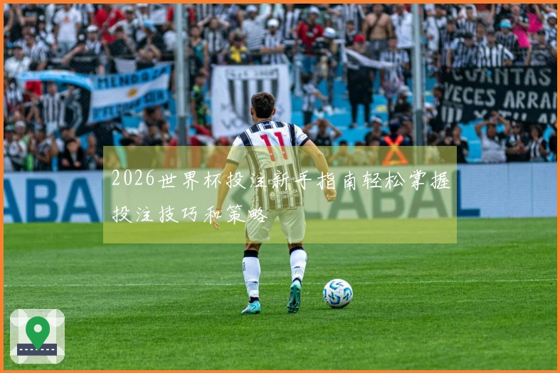 2026世界杯投注新手指南轻松掌握投注技巧和策略