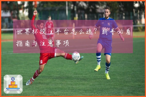 世界杯投注平台怎么选？新手必看指南与注意事项