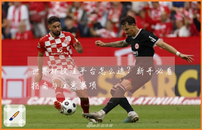 世界杯投注平台怎么选？新手必看指南与注意事项
