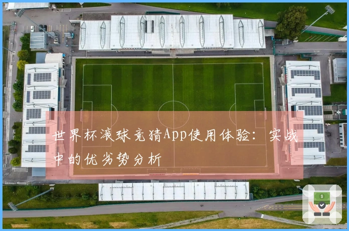 世界杯滚球竞猜App使用体验：实战中的优劣势分析