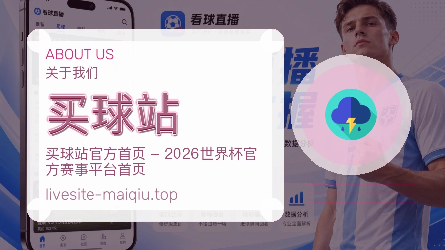 关于 买球站 团队与服务